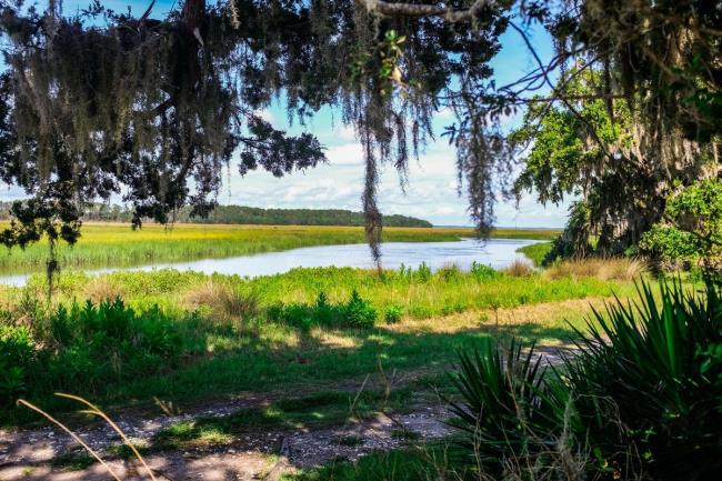 35-facts-about-sapelo-island